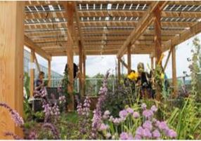 Solardach mit Dachgarten Dachgarten mit PV
